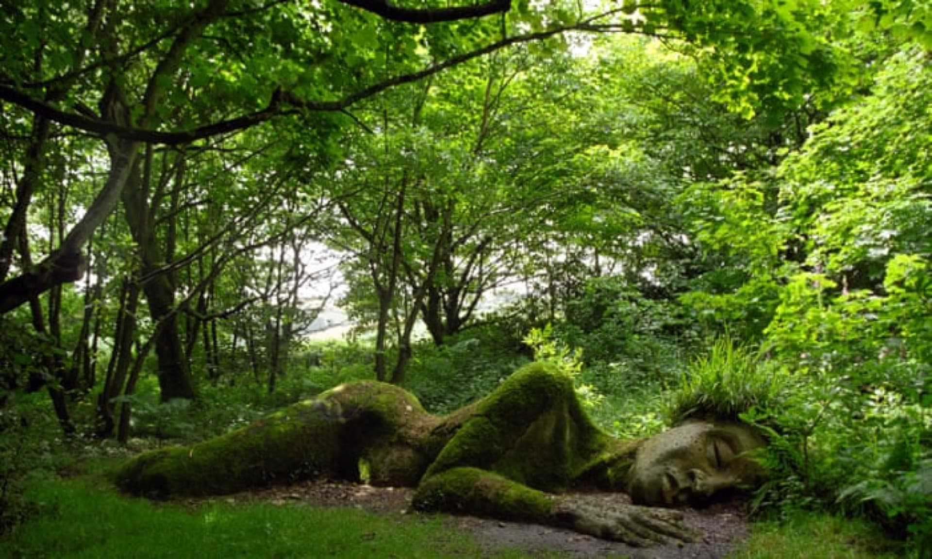 Daruri - Sound Healing & Documente